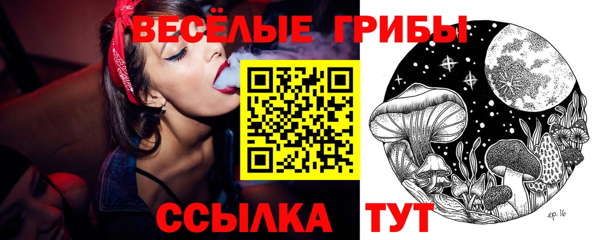 Галлюциногенные грибы Magic Shrooms Губкинский