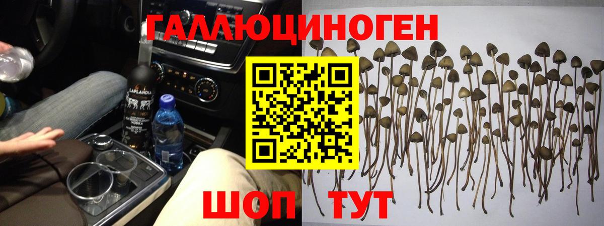 Галлюциногенные грибы MAGIC MUSHROOMS  Вход с VPN  Губкинский  Псилоцибиновые грибы прущие грибы 